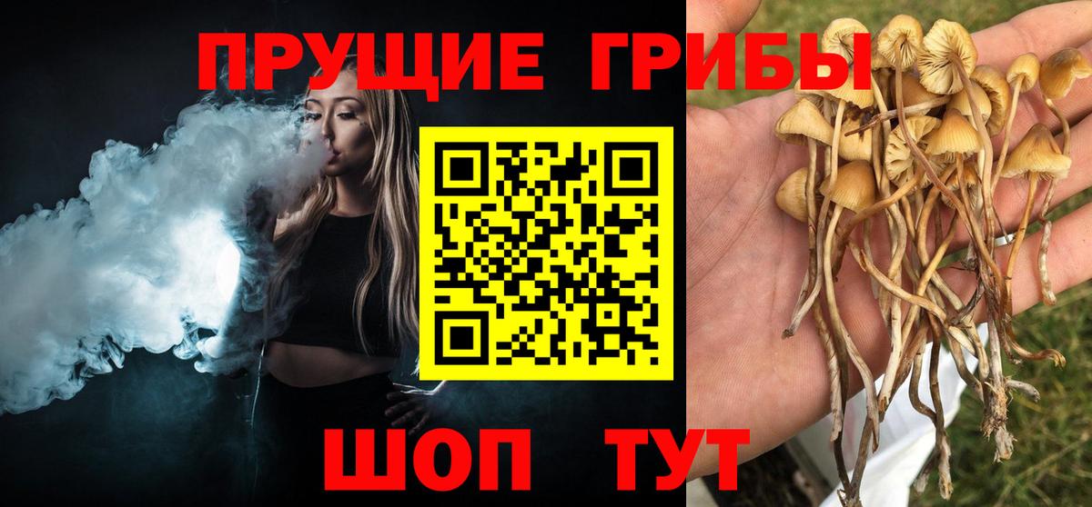 Псилоцибиновые грибы ЛСД  Псилоцибиновые грибы прущие грибы  Вход с VPN  Пугачёв 