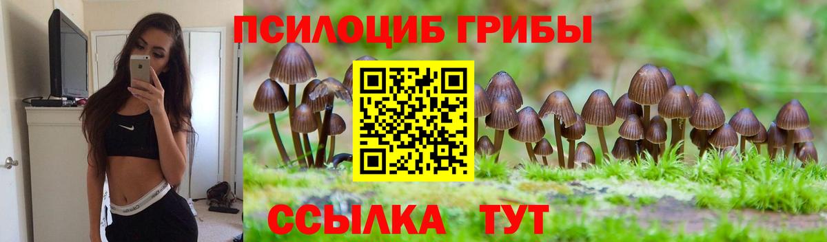 Пугачёв  Вход с VPN  Магазины продажи наркотиков  Меф МЯУ МЯУ кристаллы  КОКАИН  Гашиш  ЭКСТАЗИ  МАРИХУАНА  Alpha-PVP СОЛЬ кристаллы 